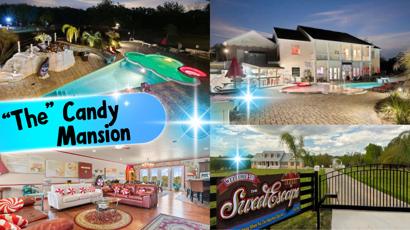 Candy House